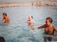 das zu meldende Bild